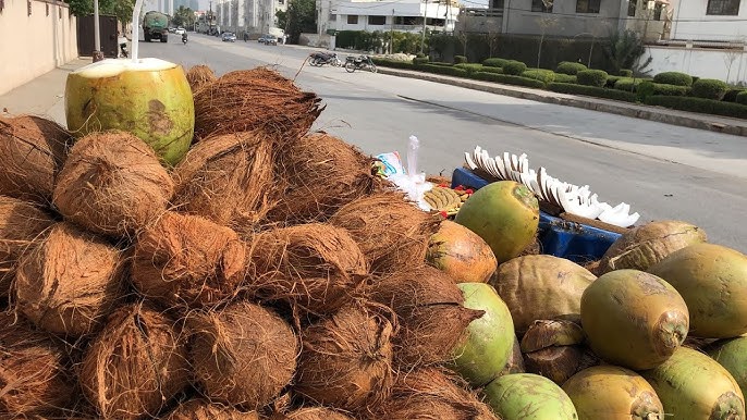 Coconut Water Amazing Health Benefits for Energy Wellness and Vitality