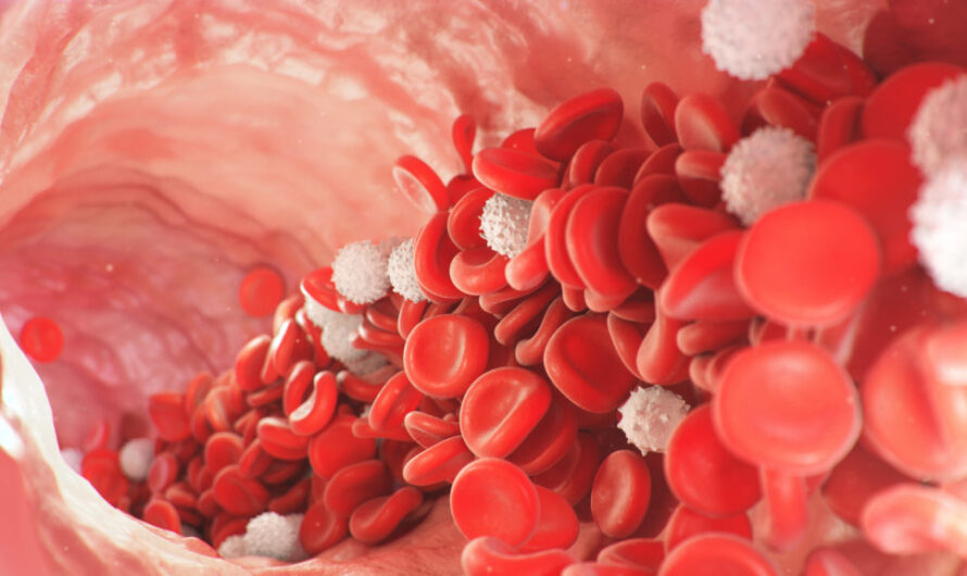 Scientists Successfully Grow Human Blood Cells in Lab 2025 Breakthrough Discovery