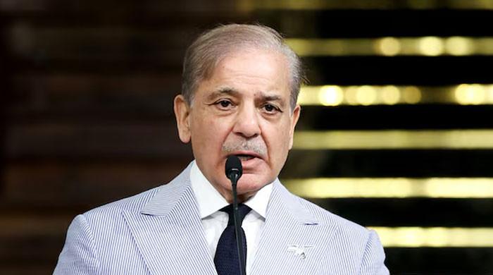 PM Shehbaz Achieves 1 Powerful Foreign Visit Every 30 Days Setting a New Record