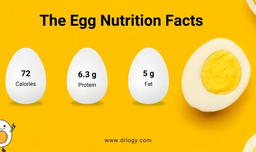 Eggs Complete Guide to Health Nutrition and Wellness Benefits