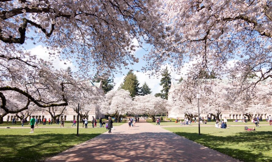 Study in Japan Free 2025 Guide for Pakistani Students to Win Scholarships and Build Future Success