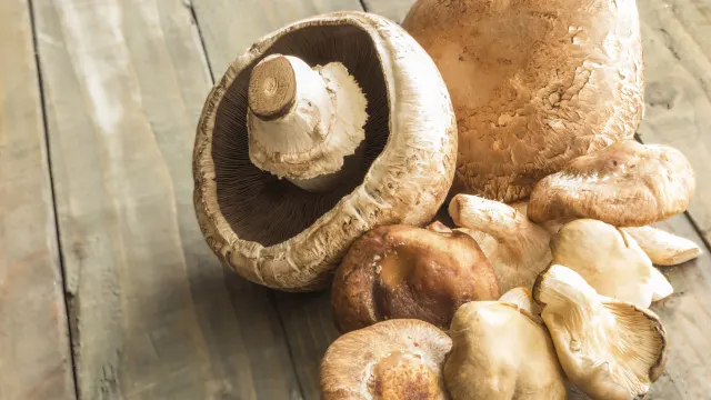 Mushroom Health Benefits and Complete Wellness Guide