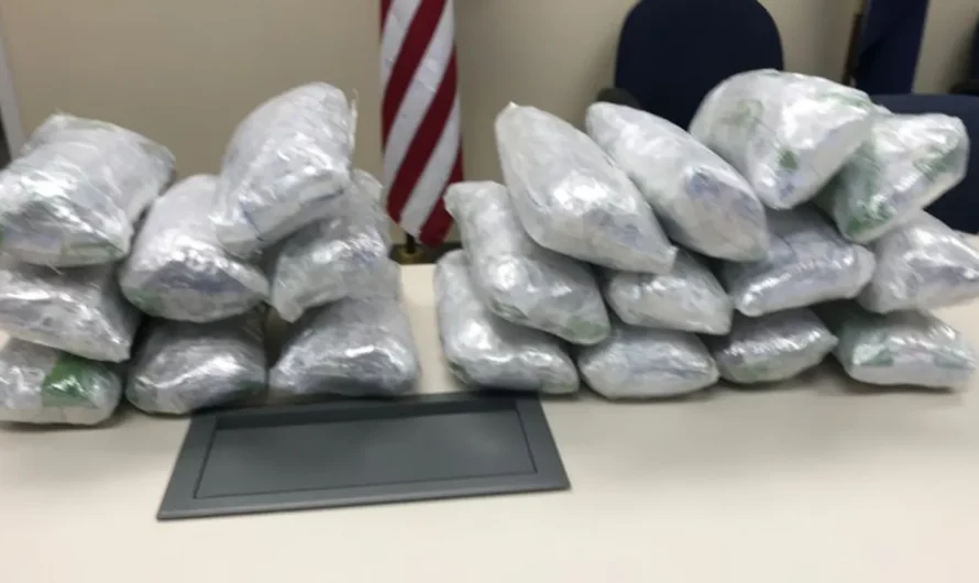 Customs Officials Power Operation Seize Crystal Meth Hidden in Daewoo Bus